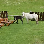 Der Perweinhof *