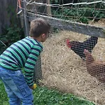 Der Perweinhof * Donnersbachwald
