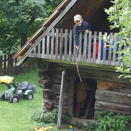 Der Perweinhof Donnersbachwald