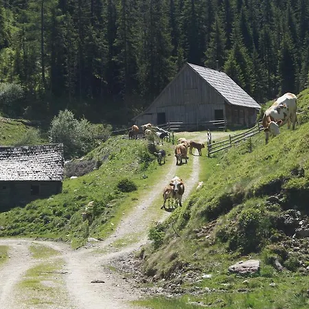 Daire Der Perweinhof Donnersbachwald