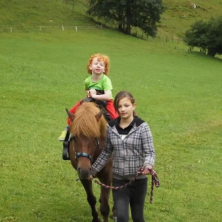 Der Perweinhof Daire Donnersbachwald