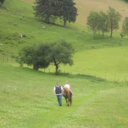 Der Perweinhof Daire *