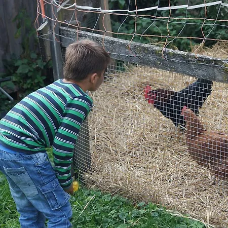 Der Perweinhof * Donnersbachwald