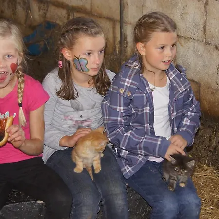 Daire Der Perweinhof *