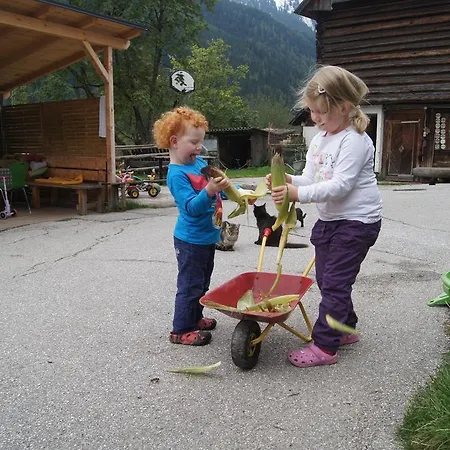 Der Perweinhof Donnersbachwald