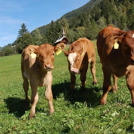 Der Perweinhof *