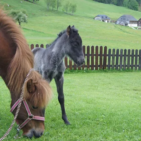 Daire Der Perweinhof Donnersbachwald