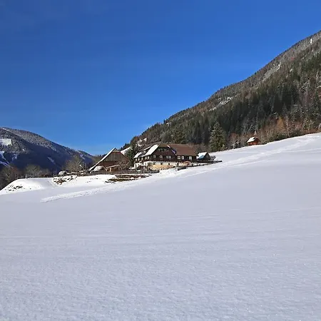 شقة Der Perweinhof *