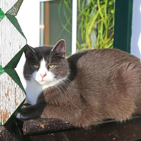 Der Perweinhof Apartamento