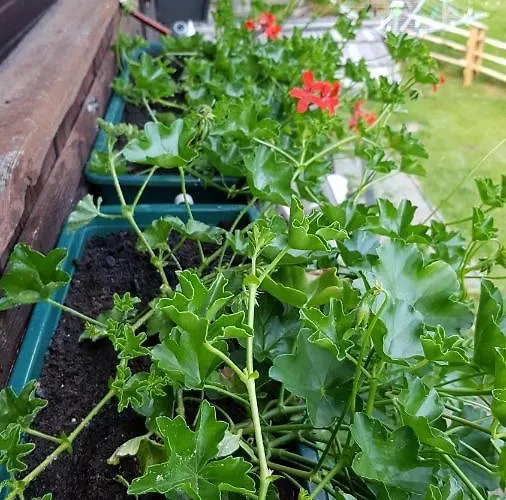 Der Perweinhof Apartamento Donnersbachwald