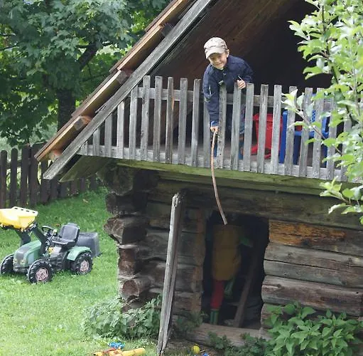 Der Perweinhof Donnersbachwald