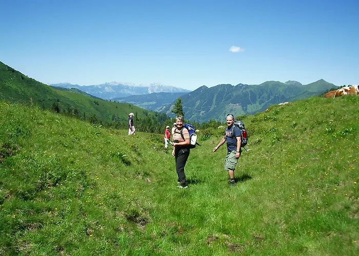 Der Perweinhof Donnersbachwald