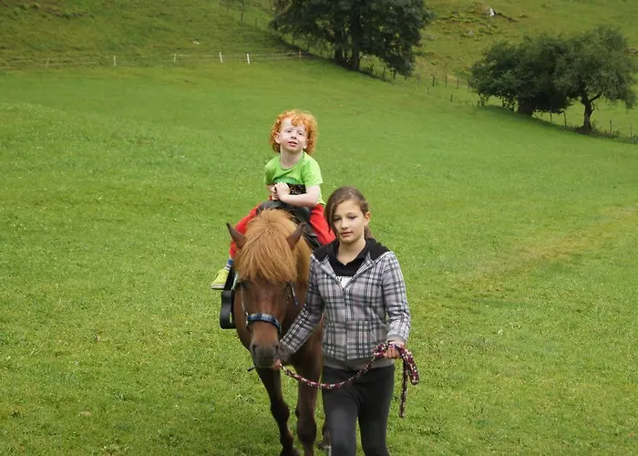 Der Perweinhof Apartamento Donnersbachwald