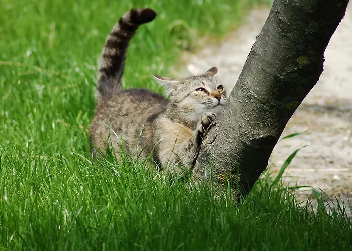 アパート Der Perweinhof