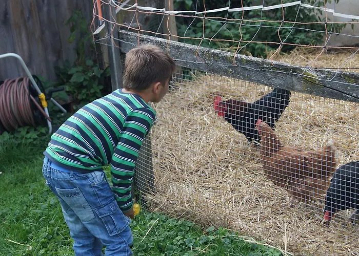 Der Perweinhof * ドナースバッハヴァルト