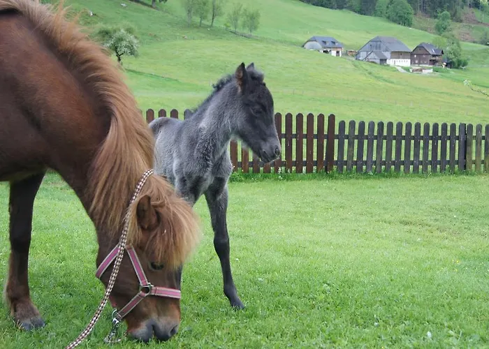 Apartamento Der Perweinhof Donnersbachwald