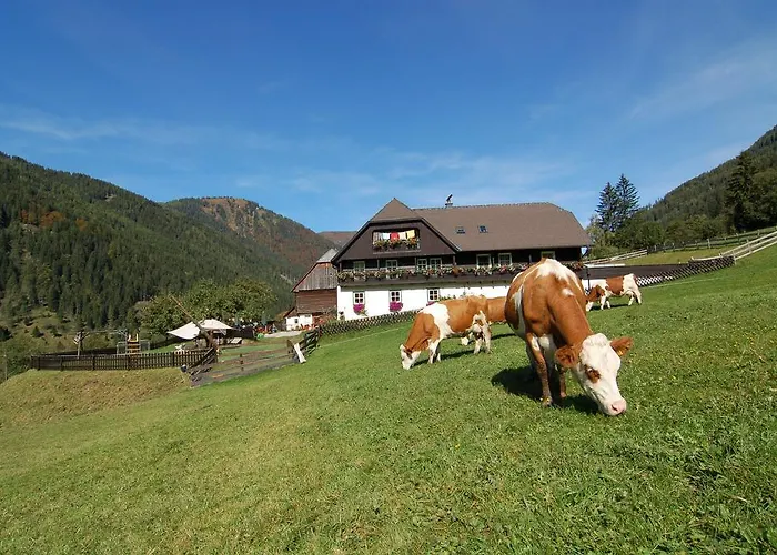 Der Perweinhof アパート *