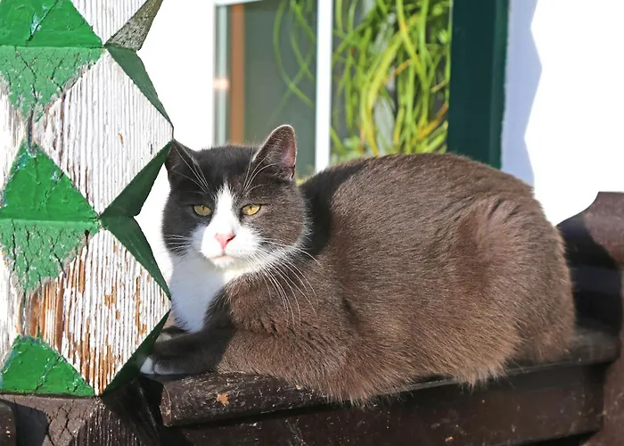 Der Perweinhof Apartamento